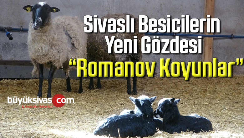 Adeta ‘Kuzu Makinesi’, lezzeti ile tercih ediliyor