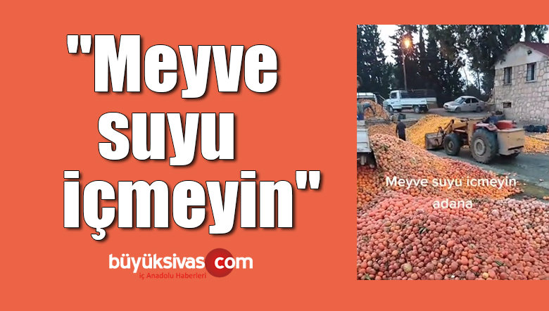 meyve suyu