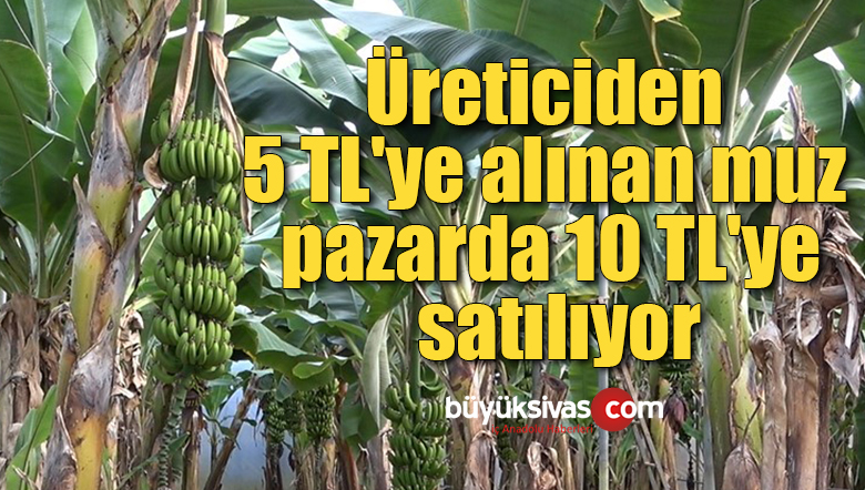 Üreticiden 5 TL’ye alınan muz pazarda 10 TL’ye satılıyor