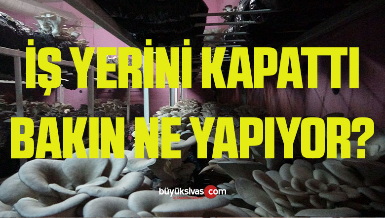 sivas-Kurtarıldı-Kurtarıldı