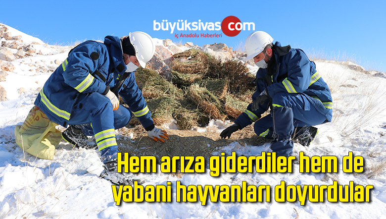 Hem arıza giderdiler hem de yabani hayvanları doyurdular