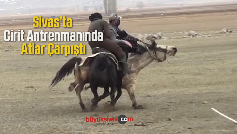 atların çarpışması