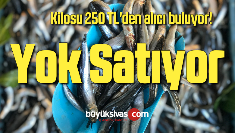 Kilosu 250 TL’den alıcı bulan kalkan, yok satıyor