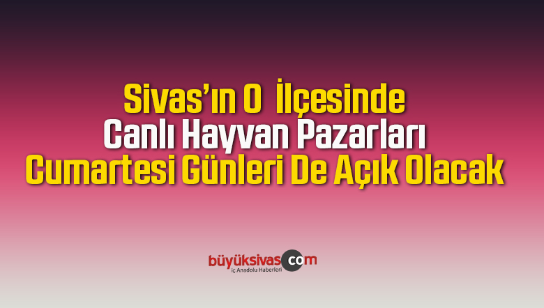 canlı hayvan
