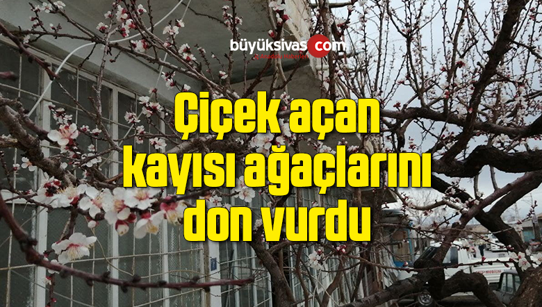 çiçek