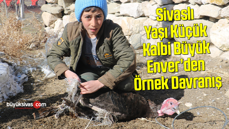 enver