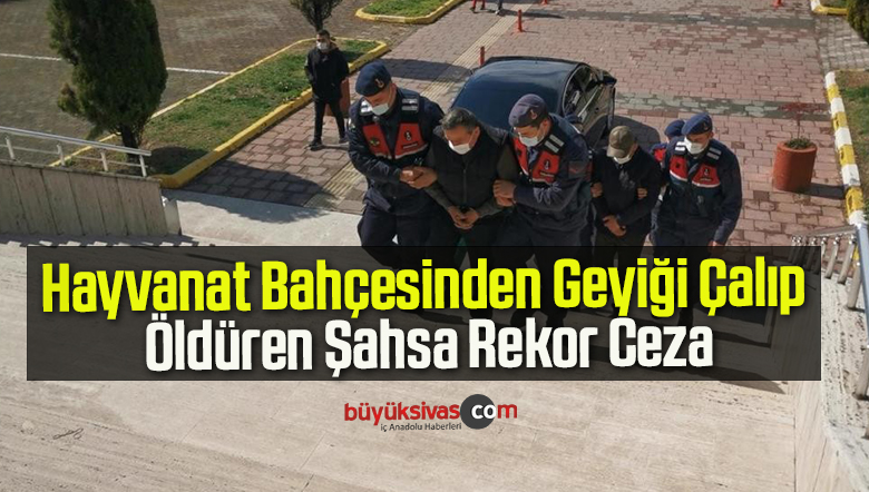 Hayvanat Bahçesinden Geyiği Çalıp Öldüren Şahsa Rekor Ceza
