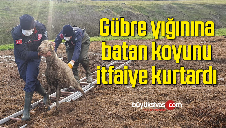 gübre
