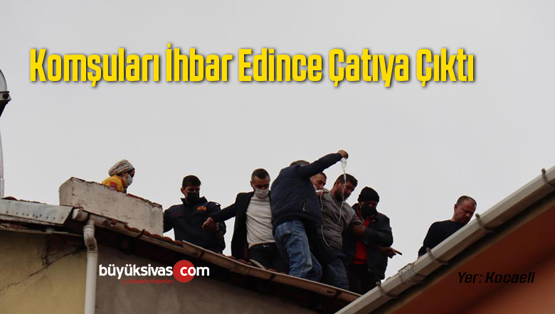 Hayvan Besliyor Diye Şikayet Edilince Çatıya Çıktı