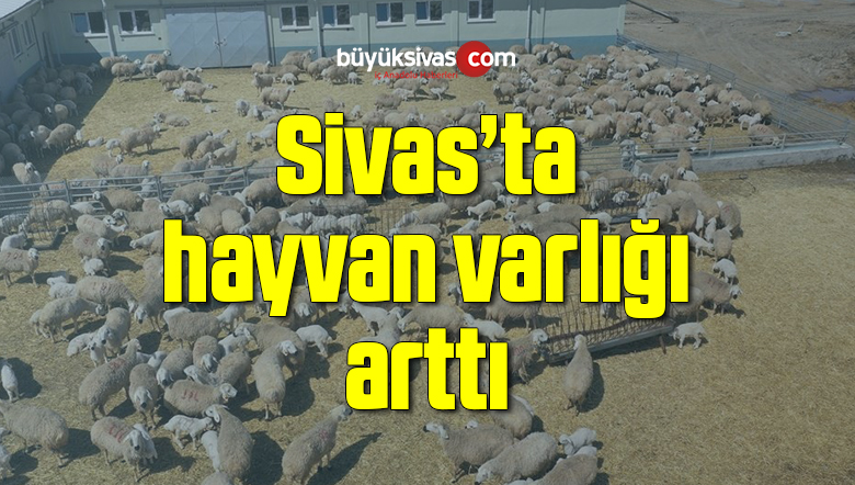 hayvan