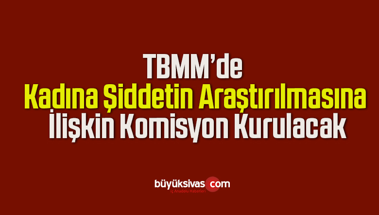 TBMM’de Kadına Şiddetin Araştırılmasına İlişkin Komisyon Kurulacak