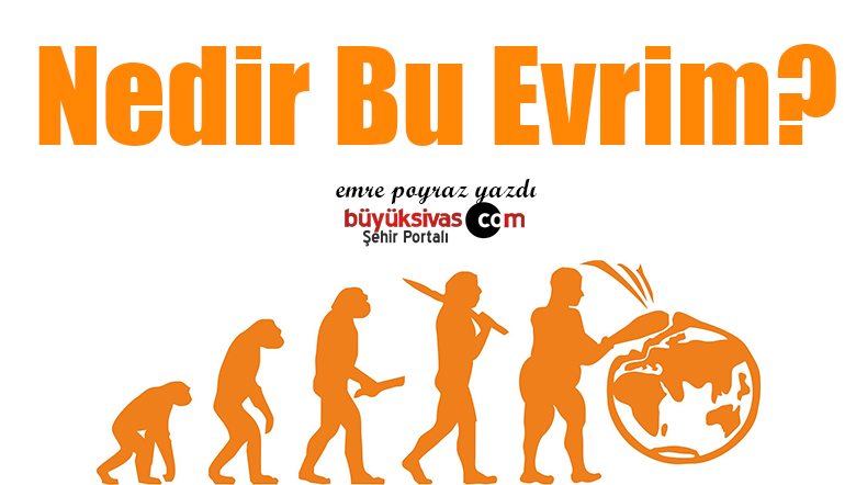 Nedir Bu Evrim?