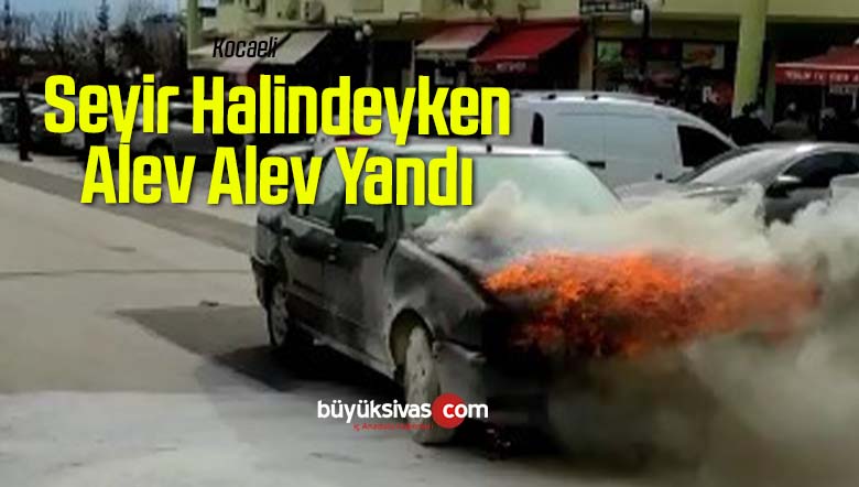 seyir halinde