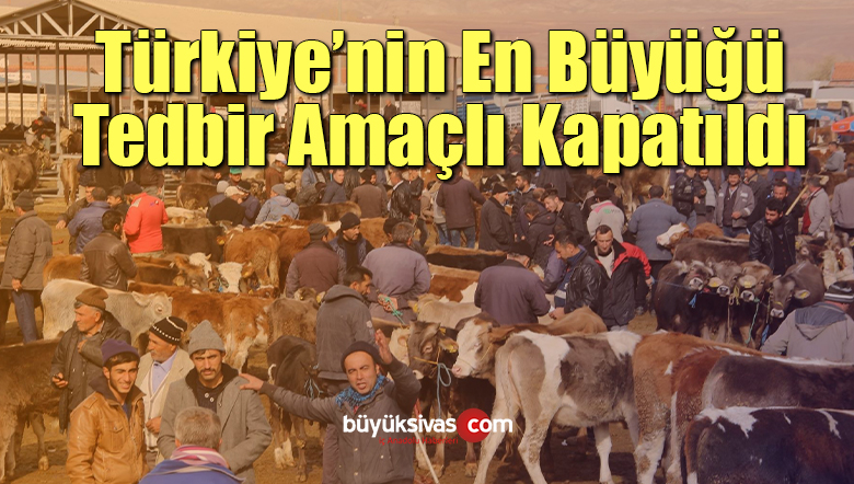 tedbir