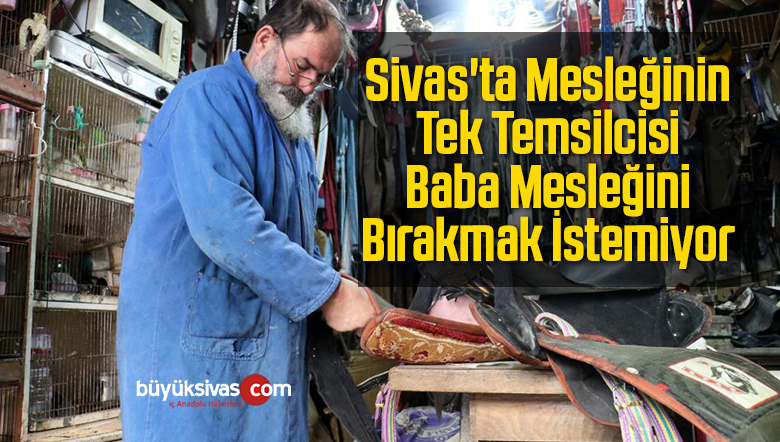 tek temsilcisi