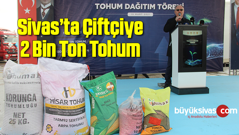 tohum