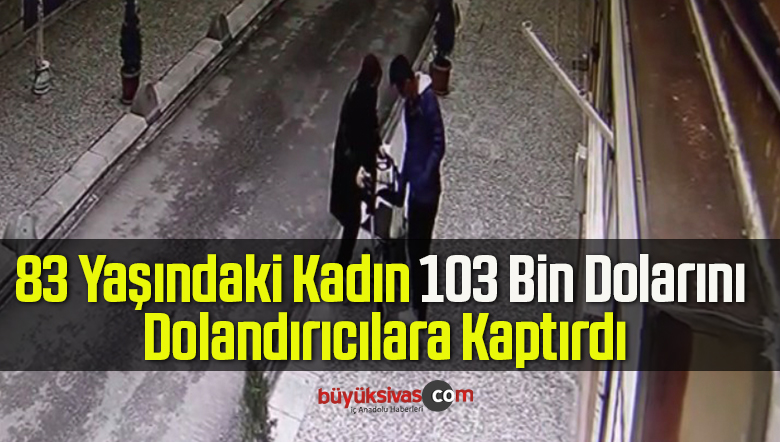 103 bin dolarını