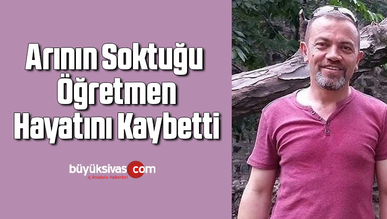 Arının soktuğu öğretmen hayatını kaybetti