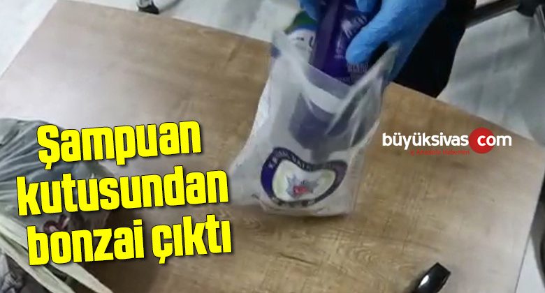 Şampuan kutusundan bonzai çıktı