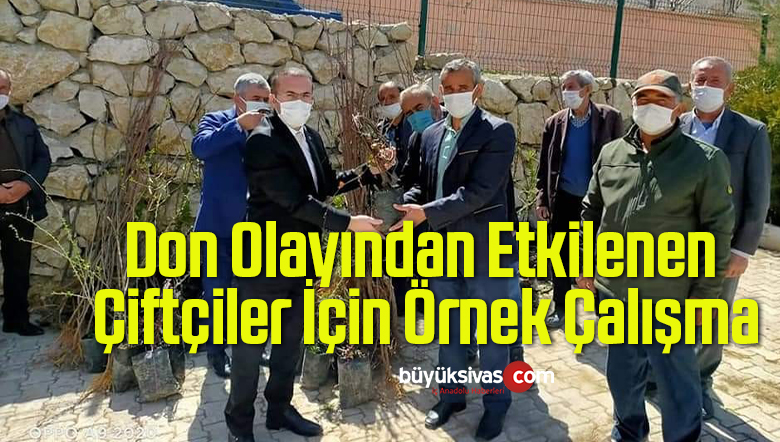 don olayından