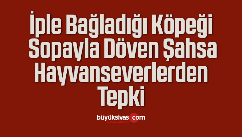 İple Bağladığı Köpeği Sopayla Dövdü