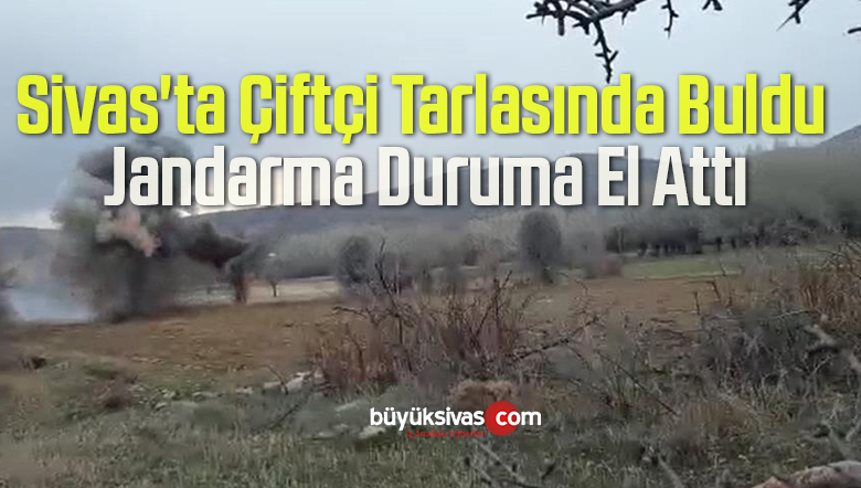 Sivas’ta Çiftçi Tarlasında Buldu, Jandarma Duruma El Attı