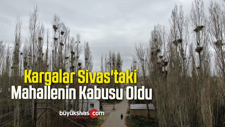 kargalar