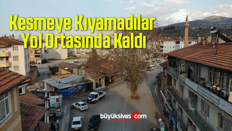 Kesmeye Kıyamadılar, Yol Ortasında Kaldı