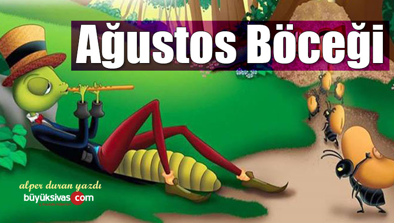 Ağustos Böceği