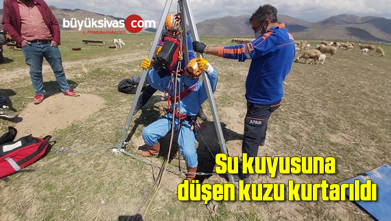 kuzu