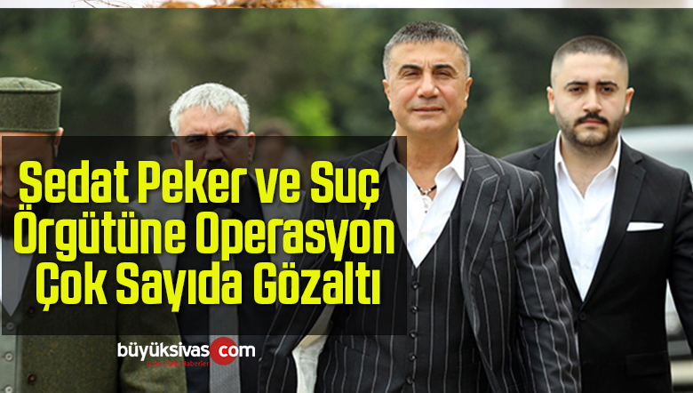 Sedat Peker ve Suç Örgütüne Operasyon, Çok Sayıda Gözaltı