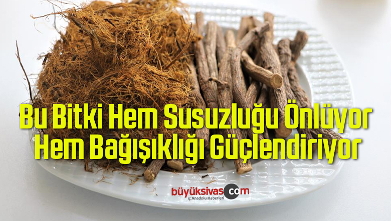 susuzluğu