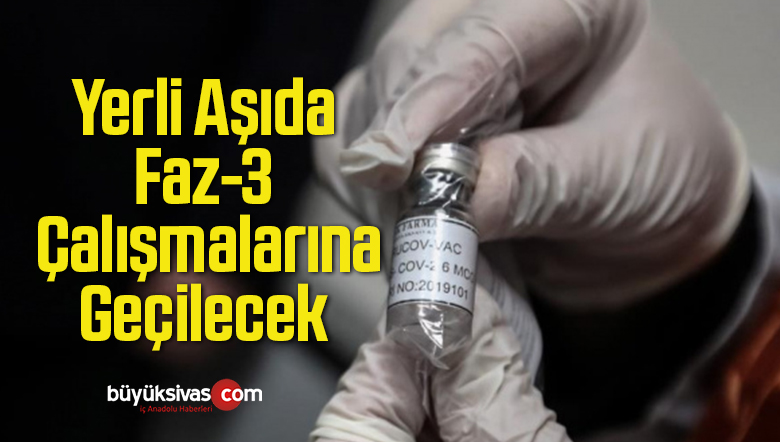 yerli aşıda