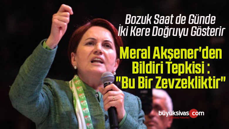 zevzekliktir
