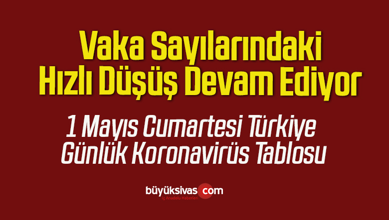 1 Mayıs Cumartesi Türkiye Günlük Koronavirüs Tablosu