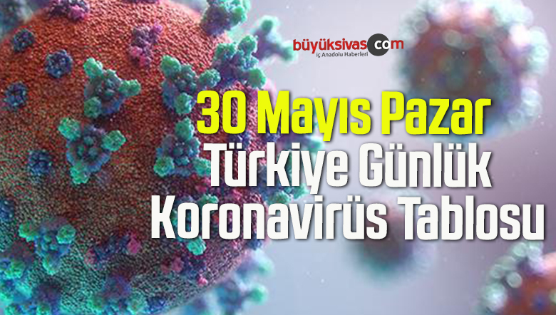 30 Mayıs Pazar Türkiye Günlük Koronavirüs Tablosu