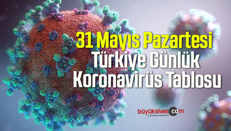 31 Mayıs Pazartesi Türkiye Günlük Koronavirüs Tablosu