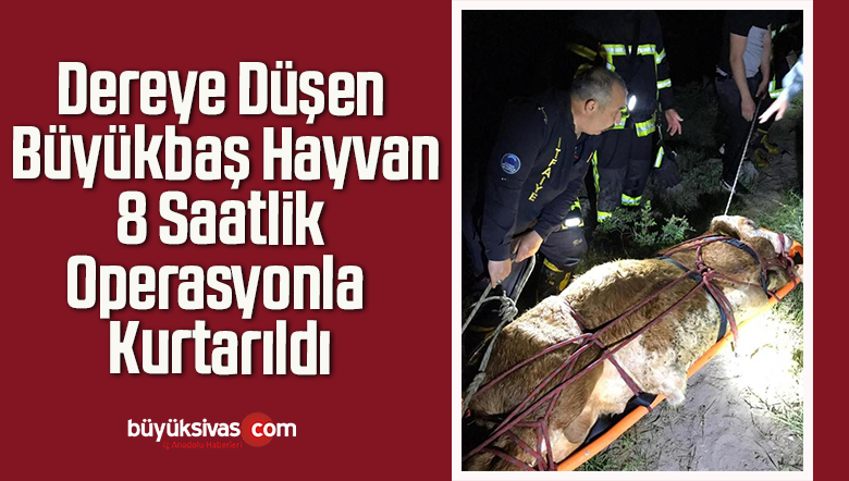 Dereye Düşen Büyükbaş Hayvan 8 Saatlik Operasyonla Kurtarıldı