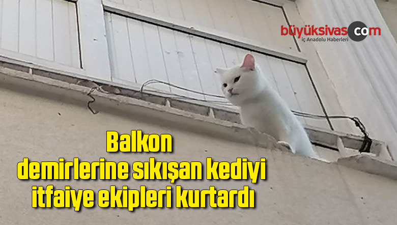 Balkon demirlerine sıkışan kediyi itfaiye ekipleri kurtardı