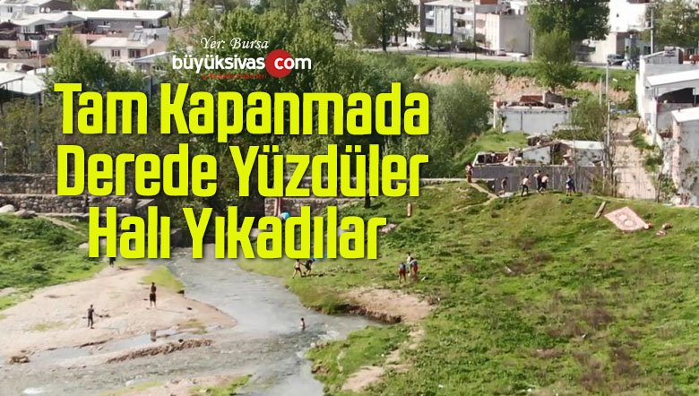 Kısıtlamada Derede Yüzenler Polisi Görünce Nereye Kaçacağını Şaşırdı