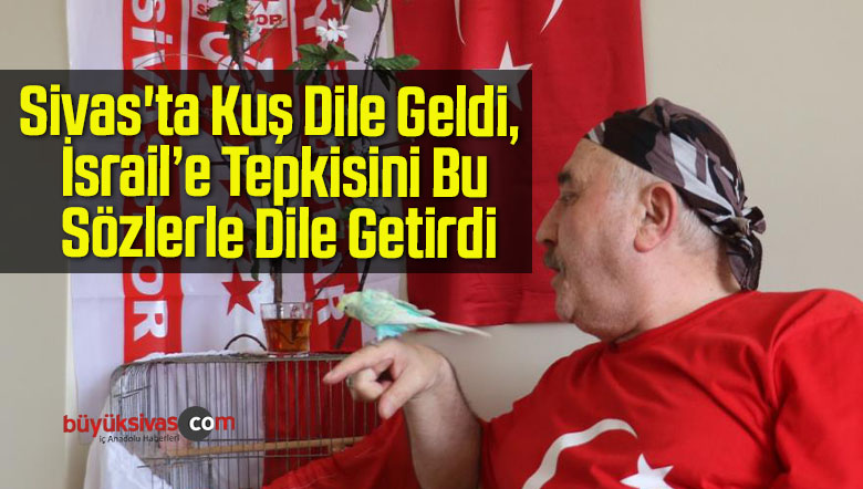 Sivas’ta Kuş Dile Geldi, İsrail’e Tepkisini Bu Sözlerle Dile Getirdi