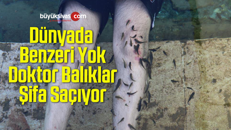 Dünyada Benzerleri Yok, Doktor Balıklar Şifa Saçıyor