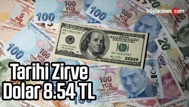 dolar tl