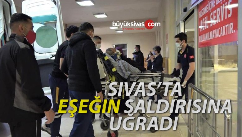 Sivas’ta bağlamaya çalıştığı eşeğin saldırısına uğrayarak yaralandı