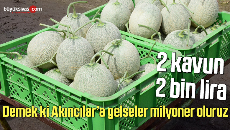 kavun