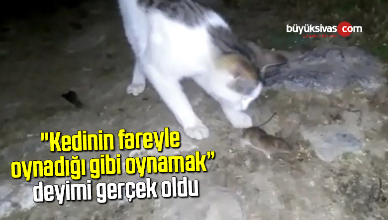 “Kedinin fareyle oynadığı gibi oynamak” deyimi gerçek oldu