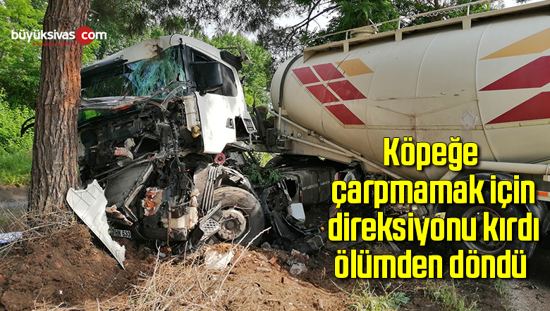 Köpeğe çarpmamak için direksiyonu kırdı, ölümden döndü