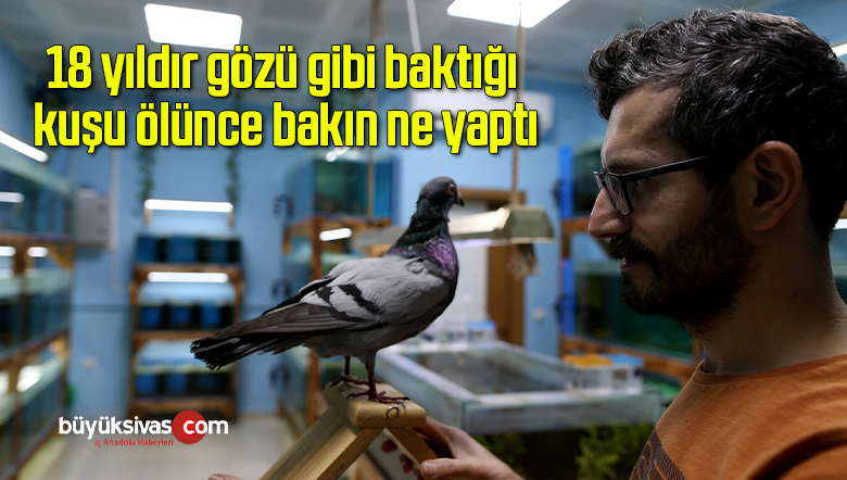 18 yıldır gözü gibi baktığı kuşu ölünce bakın ne yaptı