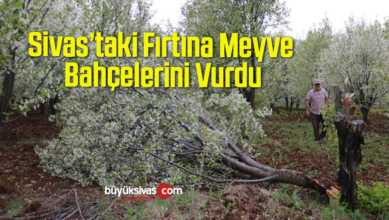 Fırtına Meyve Bahçelerini Vurdu, Yüzde 25 Ürün Kaybından Endişe Ediliyor