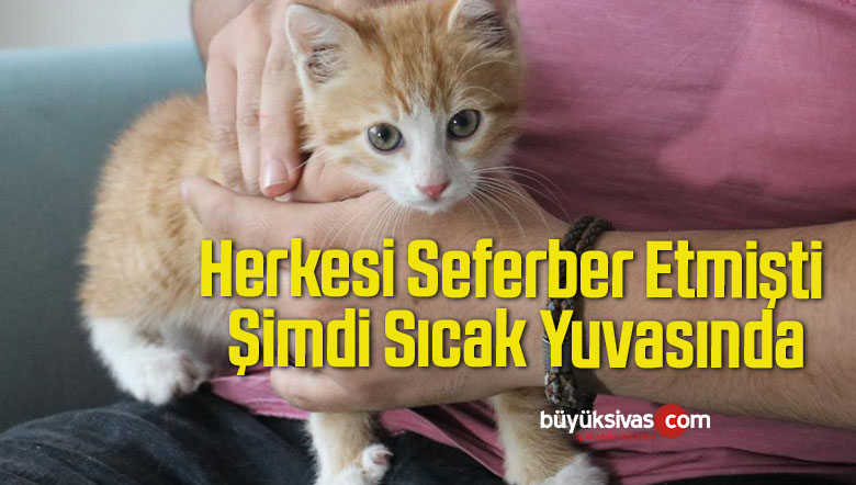Herkesi Seferber Etmişti, Şimdi Sıcak Yuvasında